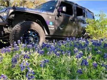 Bluebonnet Jeep Dealership in New Braunfels, TX | CARFAX